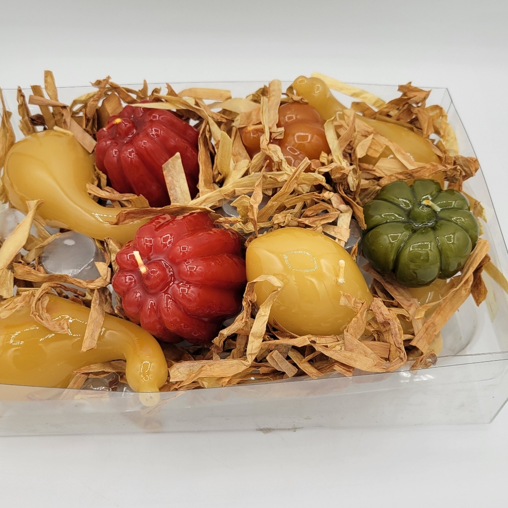Chris Madden Jcp Home Autumn Traditions Pumpkin And‎ Gourd  Candles Fall Decor